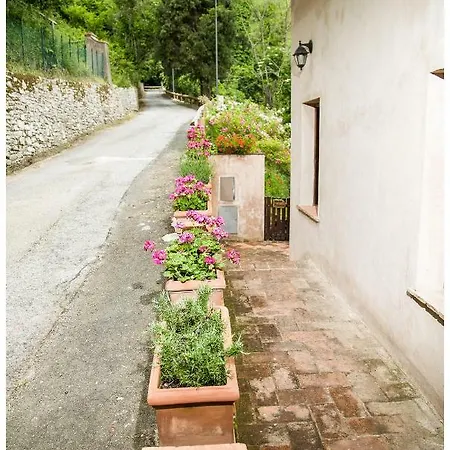Casa Francesca #10 * Sassetta